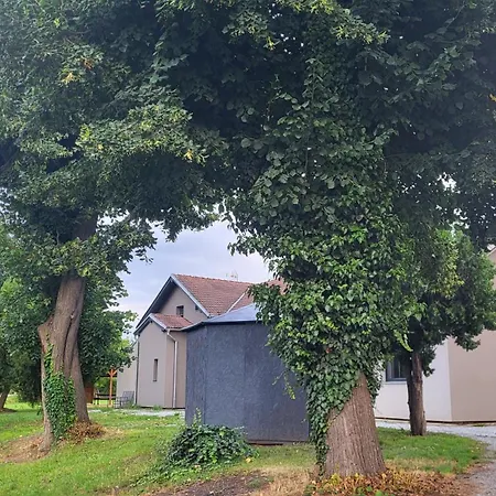 U Koleji B * Kasnice